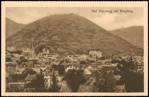 Ansichtskarte Bad Harzburg Panorama-Ansicht mit Burgberg 1920