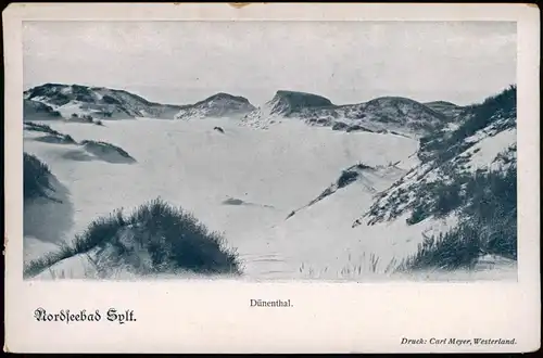 Ansichtskarte Insel Sylt Dünenthal Insel Sylt. 1907