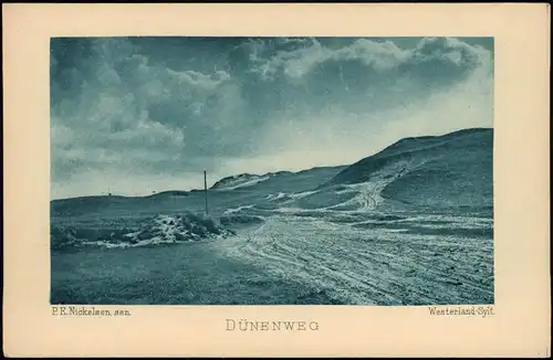 Ansichtskarte Westerland-Sylt Dünenweg 1908