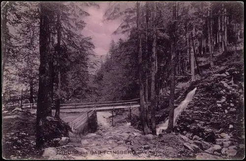 Postcard Bad Flinsberg Świeradów-Zdrój Waldweg, Wasserfall 1908