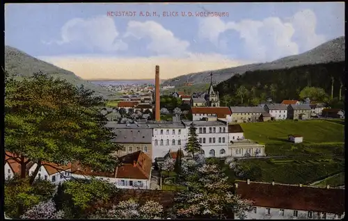Neustadt an der Weinstraße Neustadt an der Haardt Blick v.d. Wolfsburg 1917