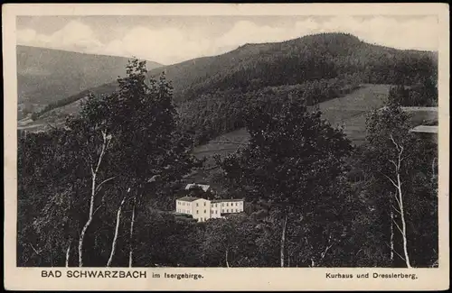 Bad Schwarzbach-Bad Flinsberg   Świeradów-Zdrój Kurhaus und Dresslerberg. 1923