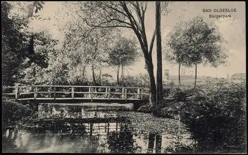 Ansichtskarte Bad Oldesloe Bürgerpark 1910