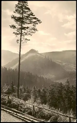 Ansichtskarte Friedrichroda Blick zur Schauenburg 1960