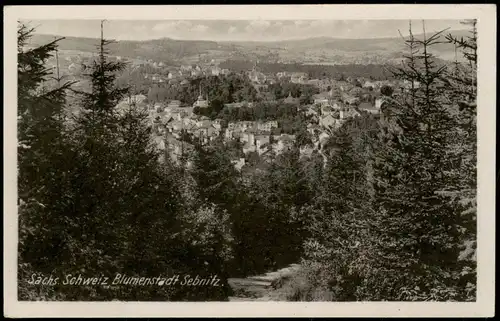 Ansichtskarte Sebnitz Blick auf die Stadt 1958
