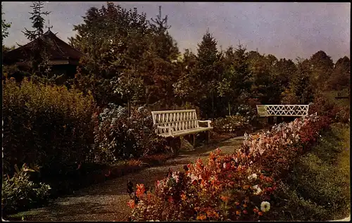 Ansichtskarte Schneeberg (Erzgebirge) Park, Heilstätte - Naturfarben 1938