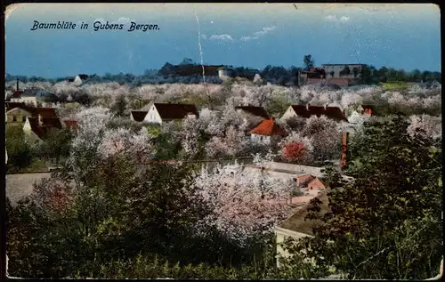Ansichtskarte Guben Baumblüte in Gubens Bergen. 1917