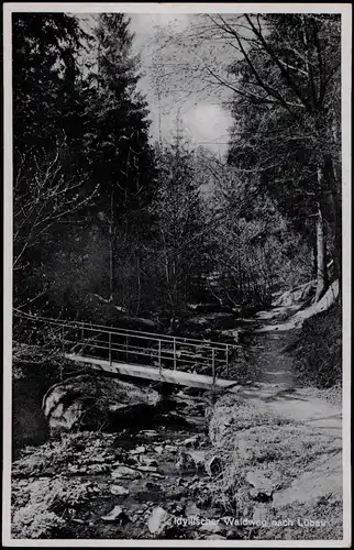 Ansichtskarte Lübau-Rabenau Waldweg 1941  gel. Landpoststempel über Tharandt