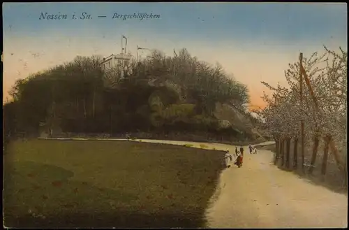 Ansichtskarte Nossen Bergschlößchen mit Weg und Menschen 1920