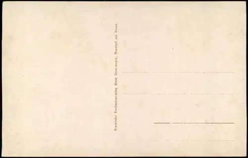 Neuwied (Rhein) Rheinufer. Blick aus dem Garten des Hotels zum wilden Mann. 1918