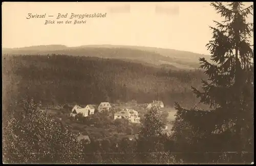 Zwiesel-Bad Gottleuba-Berggießhübel Panorama Blick von der Bastei 1910