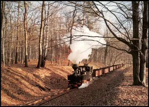 Bad Muskau Schmalspurbahn - Waldeisenbahn Muskau im Muskauer Wald 1995