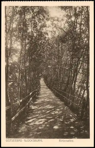 Ansichtskarte Glücksburg (Ostsee) Lyksborg Birkenallee Birken Allee 1920