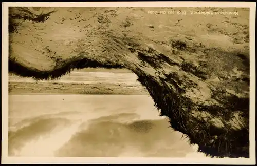 Ansichtskarte Spiekeroog Blick aus der Düne 1932