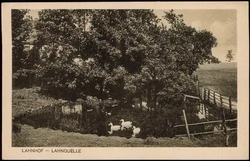 Ansichtskarte Netphen Gasthof zum Lahnhof - Lahnquelle 1927