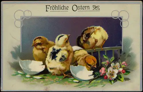 Ansichtskarte  Glückwunsch Ostern / Easter Küken zerbrochene Eier 1913