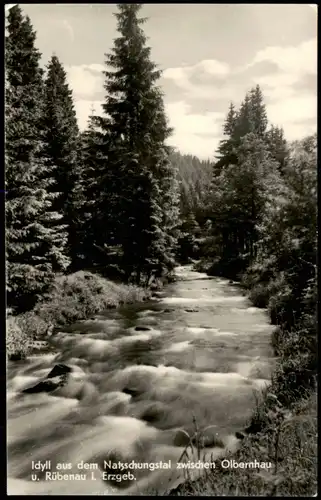 Olbernhau Idyll Natzschungstal zwischen Olbernhau Rübenau i. Erzgebirge 1940