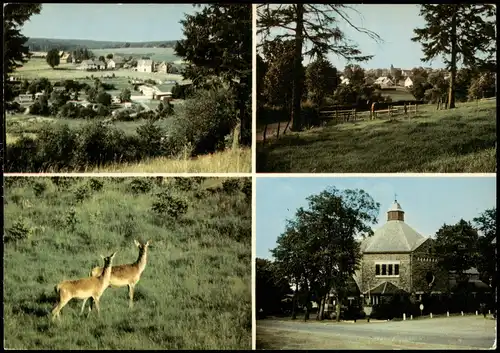 Elsenborn-Bütgenbach Mehrbildkarte Gemeinde-Commune ELSENBORN (635 m) 1970