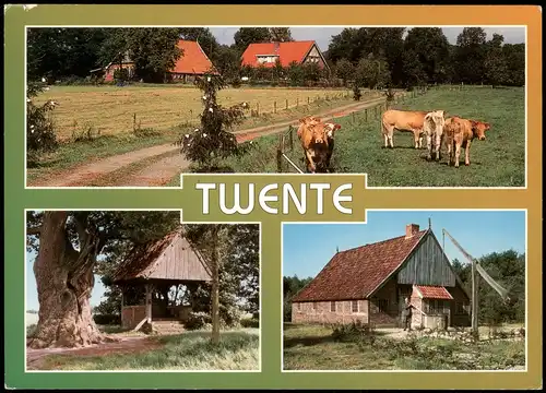 Postkaart Twente Mehrbildkarte mit 3 Ortsansichten 2000