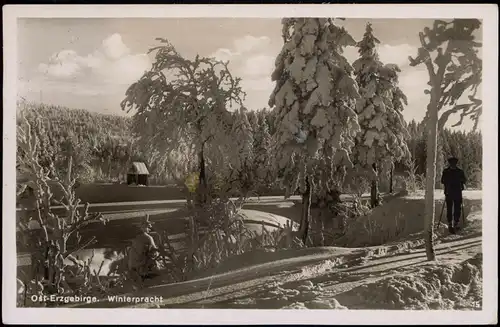 Ansichtskarte .Sachsen Erzgebirge, Skiläufer - Winterlandschaft 1931