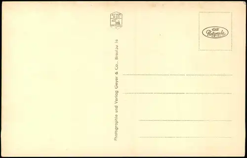 Postcard Bad Reinerz Duszniki-Zdrój Totale 1932