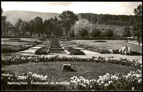 Ansichtskarte Ilsenburg (Harz) Friedenspark mit Waldhöhe 1967