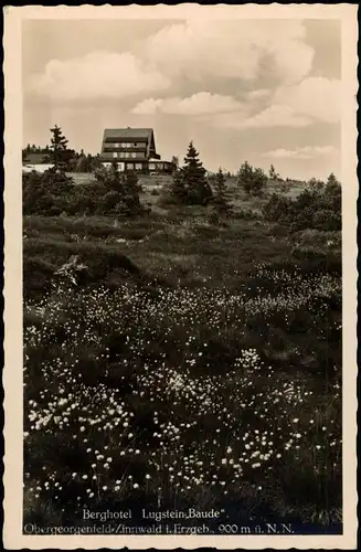 Zinnwald-Georgenfeld-Altenberg Erzgebirge Berghotel Lugstein Baude Wiese 1941