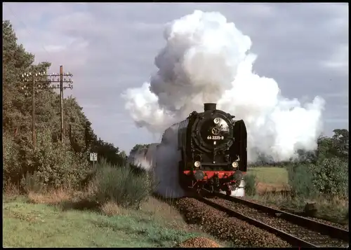 Eisenbahn Zug & Lokomotiven: Dampflokomotive bei Neuhausen 1995