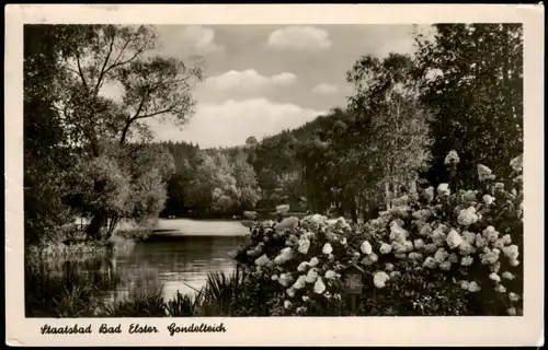 Ansichtskarte Bad Elster Gondelteich Partie zur DDR-Zeit 1955