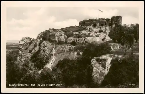 Ansichtskarte Blankenburg (Harz) Burg (Castle) Burgruine Regenstein 1955