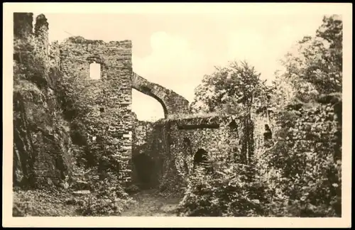 Ansichtskarte Neustadt (Harz) Burg Ruine Hohnstein zur DDR-Zeit 1955