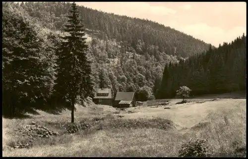 Ansichtskarte Frauenwald Umland-Ansicht Partie im Tränkbachtal 1965/1963