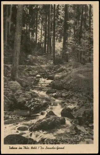 Tabarz/Thüringer Wald Umland-Ansicht Bach-Lauf im Lauscha-Grund 1950