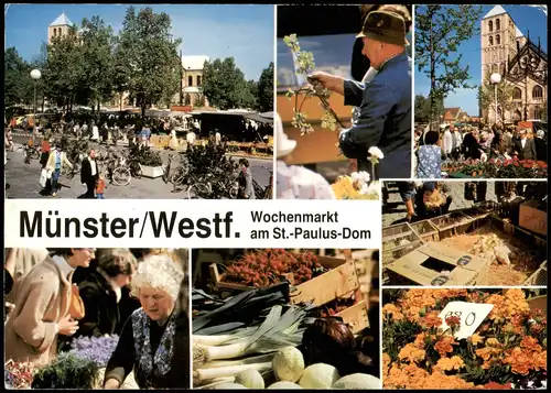 Ansichtskarte Münster (Westfalen) Wochenmarkt am St. Paulus Dom 1986