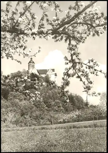 Ansichtskarte Ranis Burg Ranis (Castle View) 1973