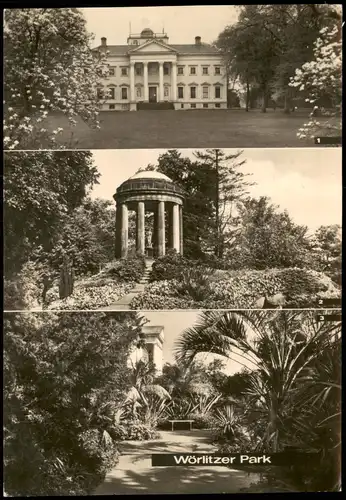 Wörlitz-Oranienbaum-Wörlitz DDR  Palmen-Garten, Venus-Tempel, Schloßmuseum 1970