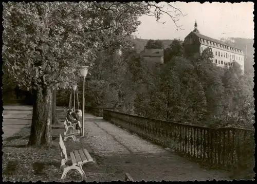 Ansichtskarte Schwarzburg Schloß mit Terrasse 1960