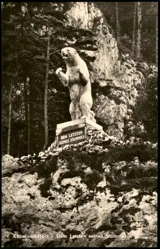 Rübeland Harz Dem Letzten seines Stammes Bärendenkmal (Rübeland) 1962