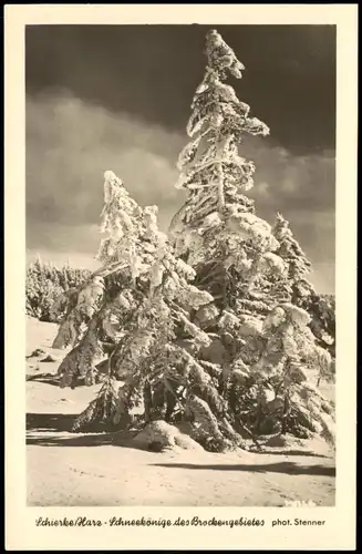 Ansichtskarte Schierke Harz "Schneekönige des Brockengebietes" DDR AK 1955