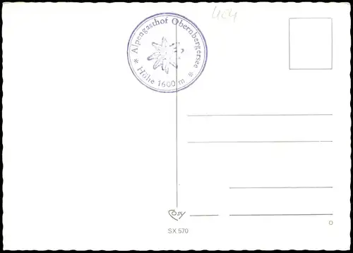 Scherzkarte Bergsteigen - TuT MIR leiD, HERR Meier - es GING NICHT ANDERS ! 1962