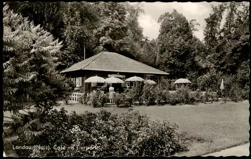 Ansichtskarte Landau in der Pfalz Café im Tierpark 1960
