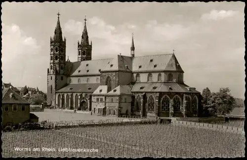 Ansichtskarte Worms Liebfrauenkirche, Weinreben 1962