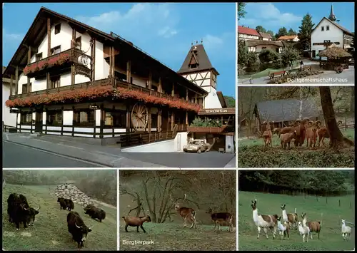 Ansichtskarte Erlenbach-Fürth (Odenwald) Restaurant Cafe Schorch MB 1984