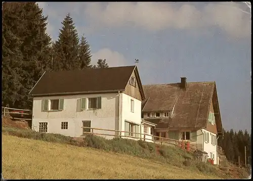 Ansichtskarte Titisee-Neustadt Wanderheim Berghäusle 1981