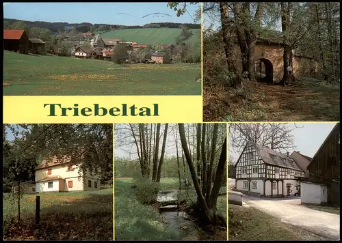 Ansichtskarte Triebel-Oelsnitz (Vogtland) Mehrbild AK: Triebeltal 1996