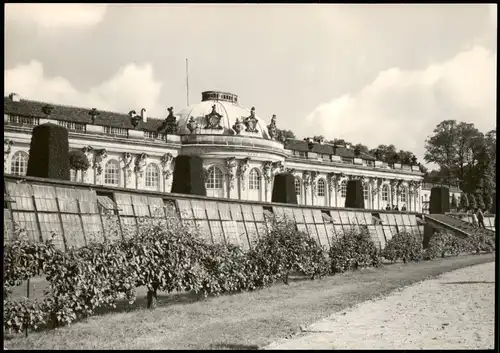Ansichtskarte Potsdam Schloss Sanssouci 1966