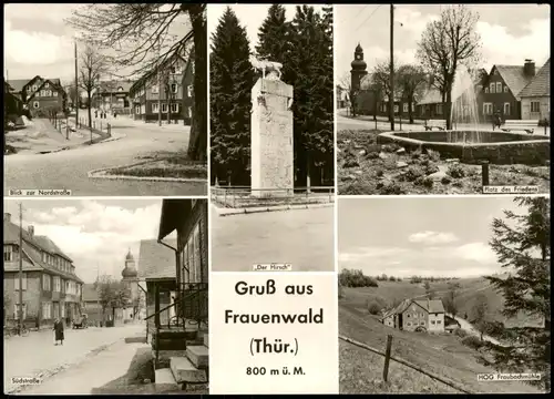 Frauenwald DDR MB Nordstraße Platz des Friedens HOG Fraubachmühle 1969