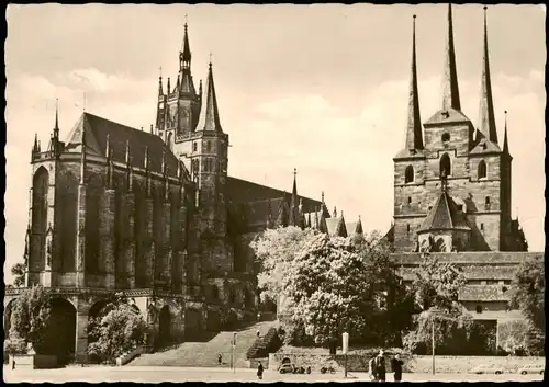 Ansichtskarte Erfurt Dom und Severikirche 1961