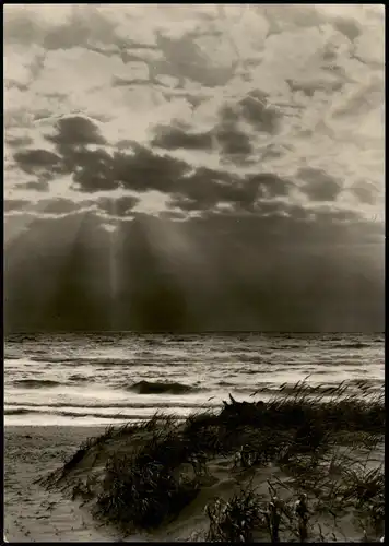 .Mecklenburg-Vorpommern Ostsee/ Baltic Sea Stimmungbild Dünen 1975