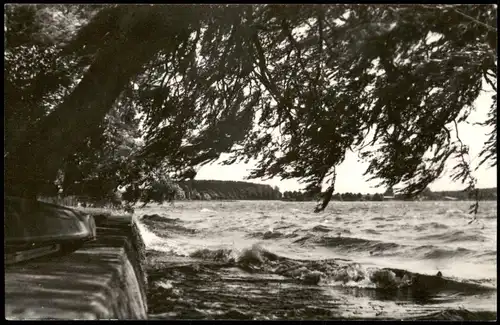 Ansichtskarte Waren (Müritz) Kietzpromenade bei Sturm 1968